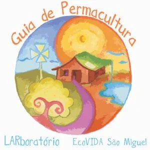 Fogão a Lenha Foguete
