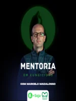Mentoria com Marcelo Madalosso